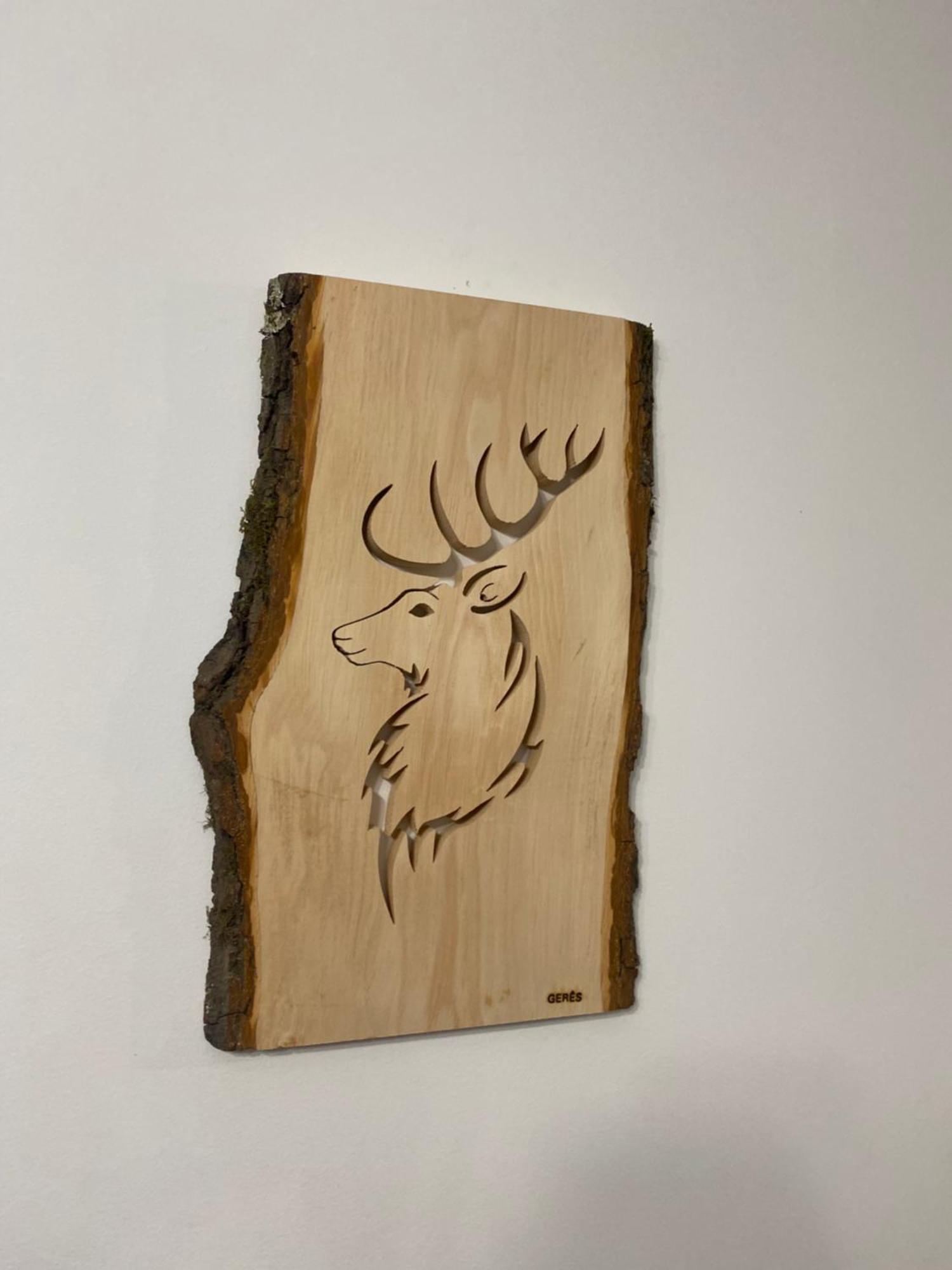 Geres River - Apartamento Na Natureza エクステリア 写真